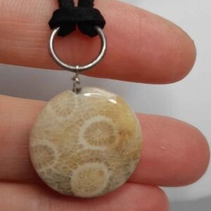 Fossilized Coral and Wire Wrap Necklace